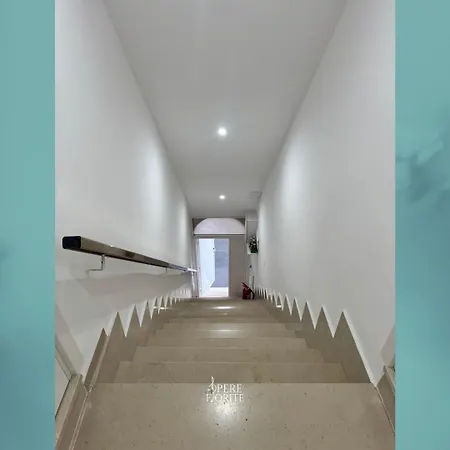 Opere Fiorite * Terlizzi